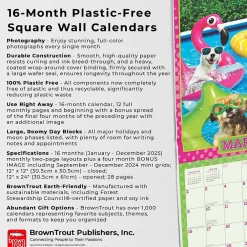 2025 Calendars|BrownTrout 2025 Avanti Dogs Gone Wild 12