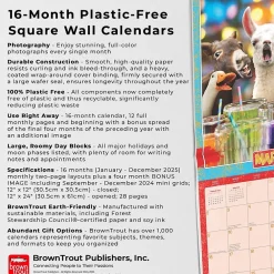 2025 Calendars|BrownTrout 2025 Avanti Funny Farm 12