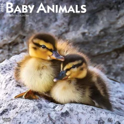 2025 Calendars|BrownTrout 2025 Baby Animals 12" x 12" Monthly Square Wall Calendar (9781975476564)