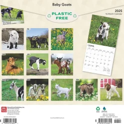 2025 Calendars|BrownTrout 2025 Baby Goats 12" x 12" Monthly Wall Calendar (9781975476571)