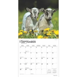 2025 Calendars|BrownTrout 2025 Baby Goats 12