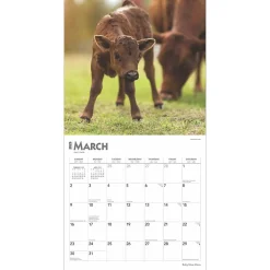 2025 Calendars|BrownTrout 2025 Baby Moo Moos 12