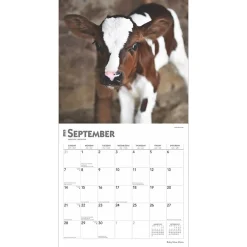 2025 Calendars|BrownTrout 2025 Baby Moo Moos 12