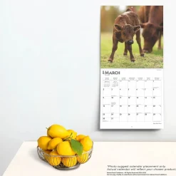 2025 Calendars|BrownTrout 2025 Baby Moo Moos 12