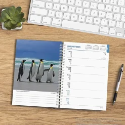 2025 Planners|BrownTrout 2025 Beaches 6