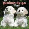 2025 Calendars|BrownTrout 2025 Bichon Frise Puppies 12" x 12" Monthly Wall Calendar (9781975474508)