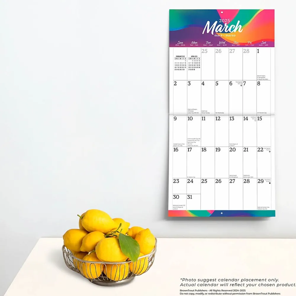 2025 Calendars|BrownTrout 2025 Big & Bright Large Print 12" x 12" Monthly Square Wall Calendar (9781975478384)