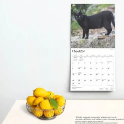 2025 Calendars|BrownTrout 2025 Black Cats 12