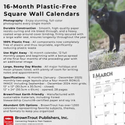 2025 Calendars|BrownTrout 2025 Black Cats 12