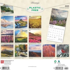 2025 Calendars|BrownTrout 2025 Blessings 12" x 12" Monthly Wall Calendar (9781975476656)