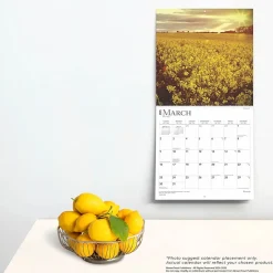 2025 Calendars|BrownTrout 2025 Blessings 12