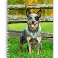 2025 Planners|BrownTrout 2025 Blue Heelers 6" x 7.75" Weekly Engagement Planner, Paper Cover, Multicolored (9781975483142)
