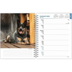 2025 Planners|BrownTrout 2025 Blue Heelers 6