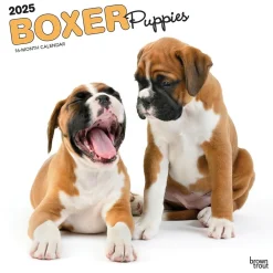 2025 Calendars|BrownTrout 2025 Boxer Puppies 12" x 12" Monthly Wall Calendar (9781975476717)
