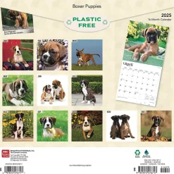 2025 Calendars|BrownTrout 2025 Boxer Puppies 12" x 12" Monthly Wall Calendar (9781975476717)