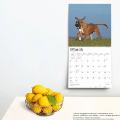 2025 Calendars|BrownTrout 2025 Boxer Puppies 12