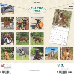 2025 Calendars|BrownTrout 2025 Boxers International Edition 12" x 12" Monthly Wall Calendar (9781975474522)