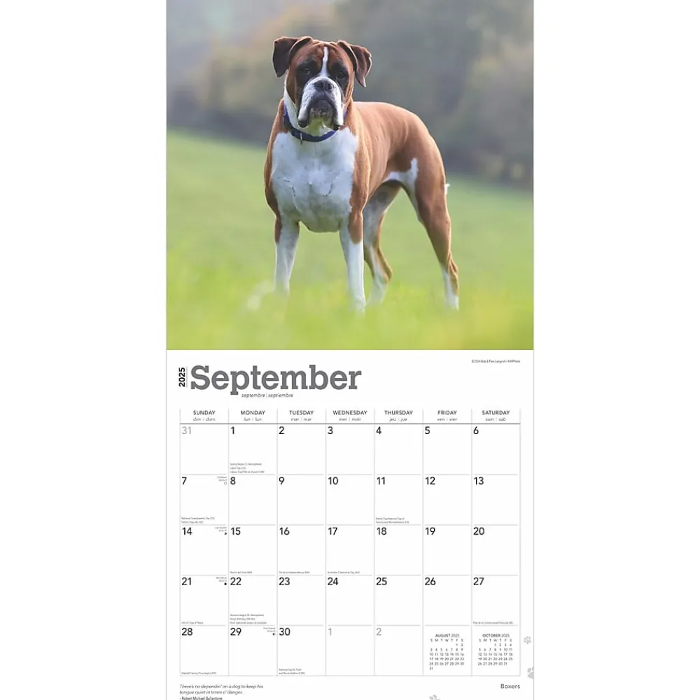 2025 Calendars|BrownTrout 2025 Boxers International Edition 12" x 12" Monthly Wall Calendar (9781975474522)