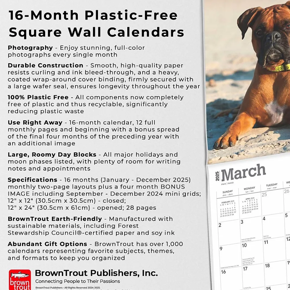 2025 Calendars|BrownTrout 2025 Boxers International Edition 12" x 12" Monthly Wall Calendar (9781975474522)