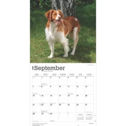 2025 Calendars|BrownTrout 2025 Brittanys 12