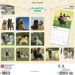 2025 Calendars|BrownTrout 2025 Cairn Terriers 12" x 24" Monthly Square Wall Calendar, (9781975476779)