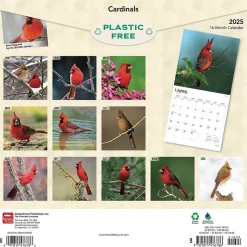 2025 Calendars|BrownTrout 2025 Cardinals 12" x 24" Monthly Square Wall Calendar, (9781975476786)