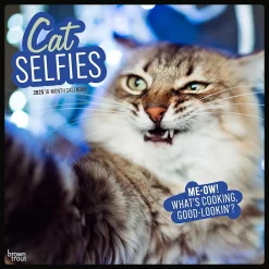 2025 Calendars|BrownTrout 2025 Cat Selfies 12" x 12" Monthly Wall Calendar (9781975474614)