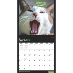 2025 Calendars|BrownTrout 2025 Cat Selfies 12