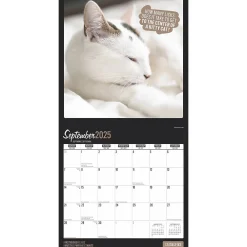 2025 Calendars|BrownTrout 2025 Cat Selfies 12