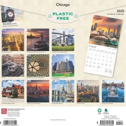 2025 Calendars|BrownTrout 2025 Chicago 12" x 24" Monthly Square Wall Calendar, (9781975474645)