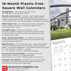 2025 Calendars|BrownTrout 2025 Chicago 12