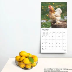 2025 Calendars|BrownTrout 2025 Chickens 12