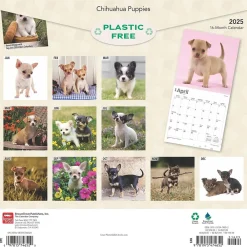 2025 Calendars|BrownTrout 2025 Chihuahua Puppies 12" x 12" Monthly Wall Calendar (9781975474652)