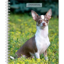 2025 Planners|BrownTrout 2025 Chihuahuas 6" x 7.75" Weekly Engagement Planner, Paper Cover, Multicolored (9781975480622)