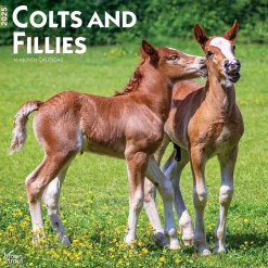 2025 Calendars|BrownTrout 2025 Colts and Fillies 12" x 12" Monthly Wall Calendar (9781975483722)