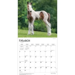 2025 Calendars|BrownTrout 2025 Colts and Fillies 12