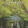 2025 Calendars|BrownTrout 2025 Connecticut Wild & Scenic 12" x 24" Monthly Square Wall Calendar (9781975474720)
