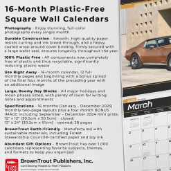 2025 Calendars|BrownTrout 2025 Corvette 12