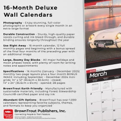 2025 Calendars|BrownTrout 2025 Corvette 14