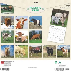 2025 Calendars|BrownTrout 2025 Cows 12" x 12" Monthly Wall Calendar (9781975476892)