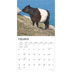 2025 Calendars|BrownTrout 2025 Cows 12