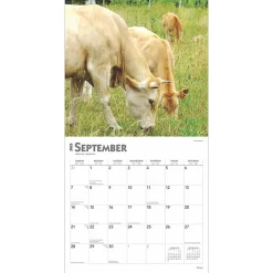 2025 Calendars|BrownTrout 2025 Cows 12
