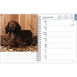 2025 Planners|BrownTrout 2025 Dachshunds 6