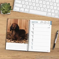 2025 Planners|BrownTrout 2025 Dachshunds 6