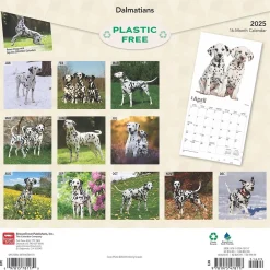 2025 Calendars|BrownTrout 2025 Dalmatians 12" x 24" Monthly Square Wall Calendar, (9781975478117)
