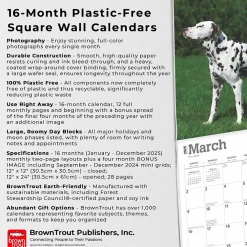 2025 Calendars|BrownTrout 2025 Dalmatians 12
