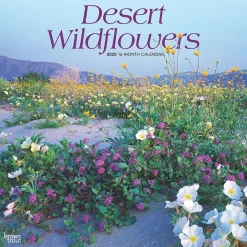 2025 Calendars|BrownTrout 2025 Desert Wildflowers 12" x 12" Monthly Wall Calendar (9781975476014)