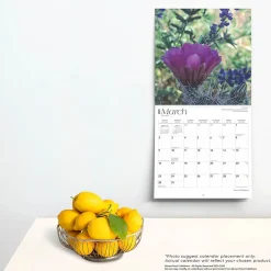 2025 Calendars|BrownTrout 2025 Desert Wildflowers 12