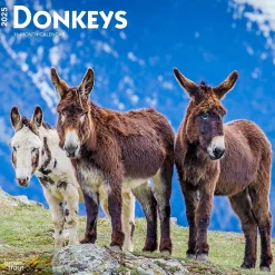 2025 Calendars|BrownTrout 2025 Donkeys 12" x 24" Monthly Square Wall Calendar, (9781975476946)