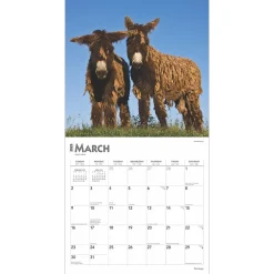 2025 Calendars|BrownTrout 2025 Donkeys 12